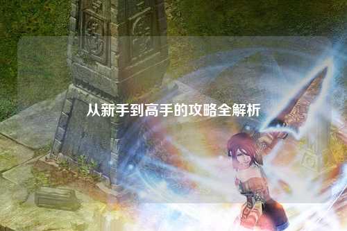 从新手到高手的攻略全解析